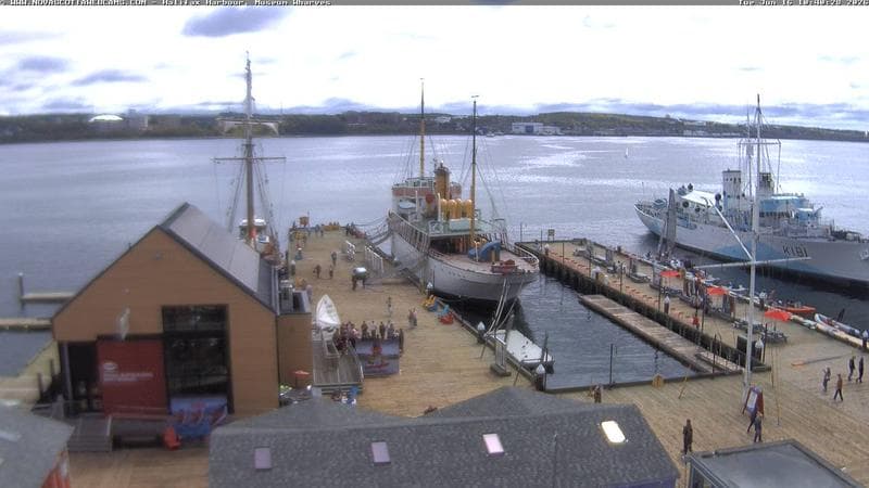 Museum Wharves