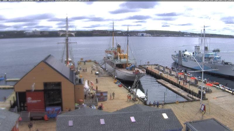 Museum Wharves