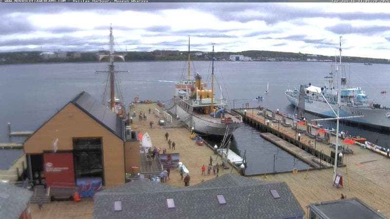 Museum Wharves