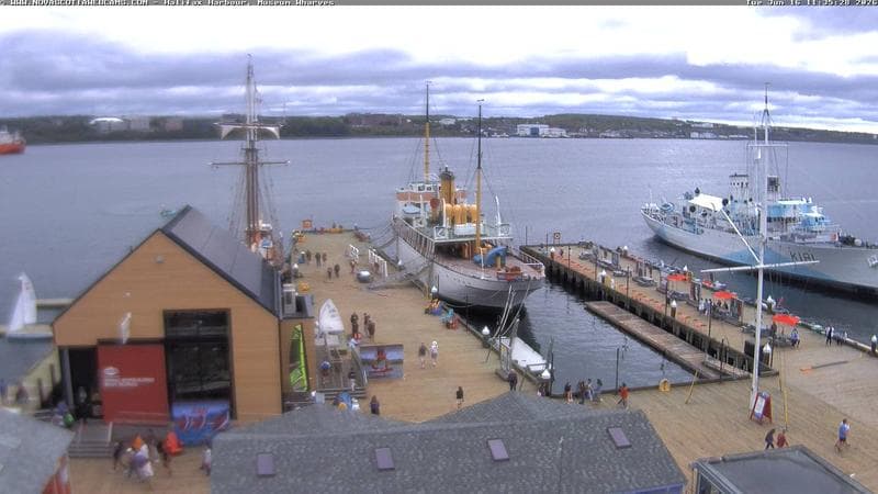 Museum Wharves