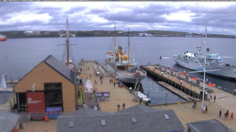 Museum Wharves