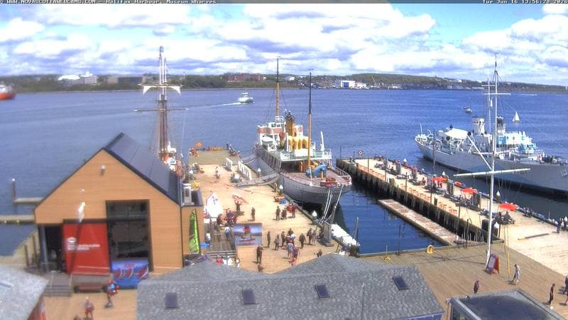 Museum Wharves