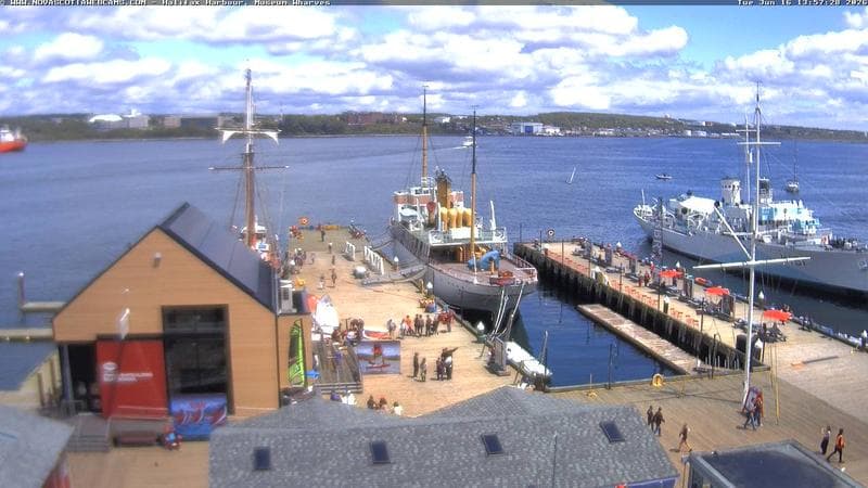 Museum Wharves