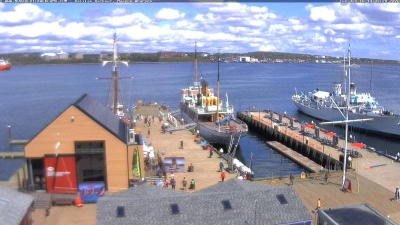 Museum Wharves