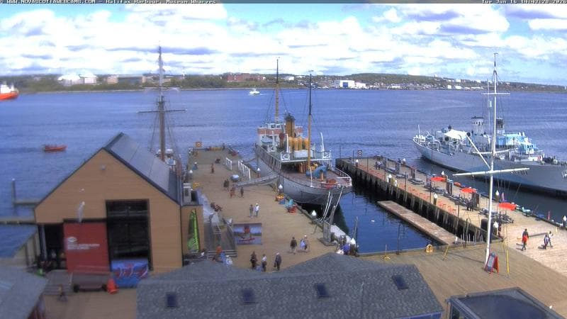 Museum Wharves