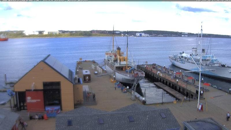Museum Wharves