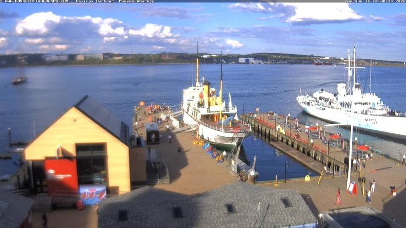Museum Wharves