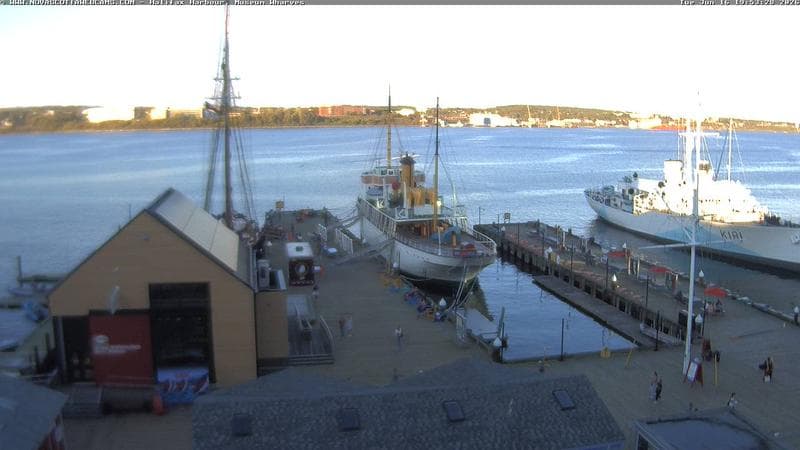 Museum Wharves