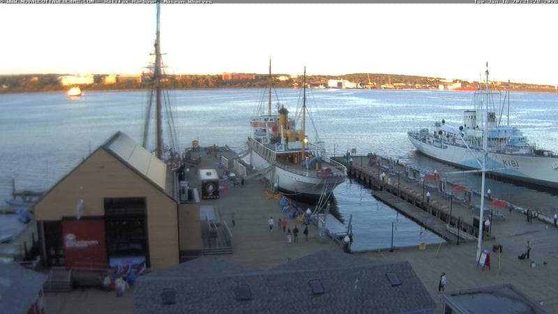 Museum Wharves