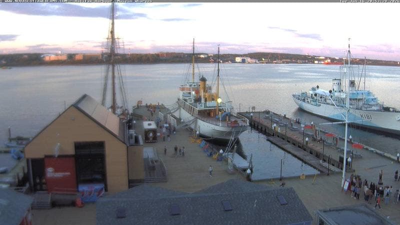 Museum Wharves