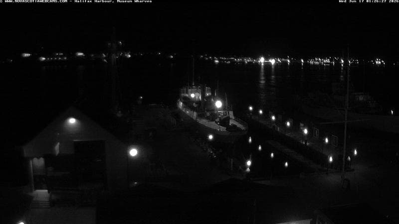 Museum Wharves