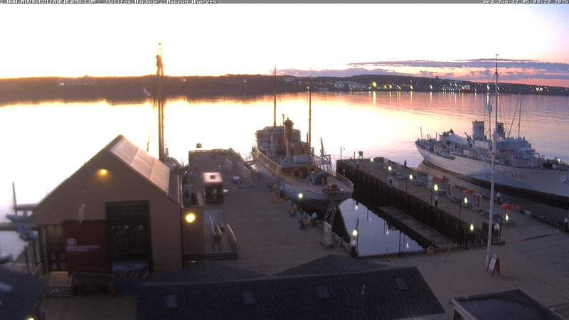 Museum Wharves