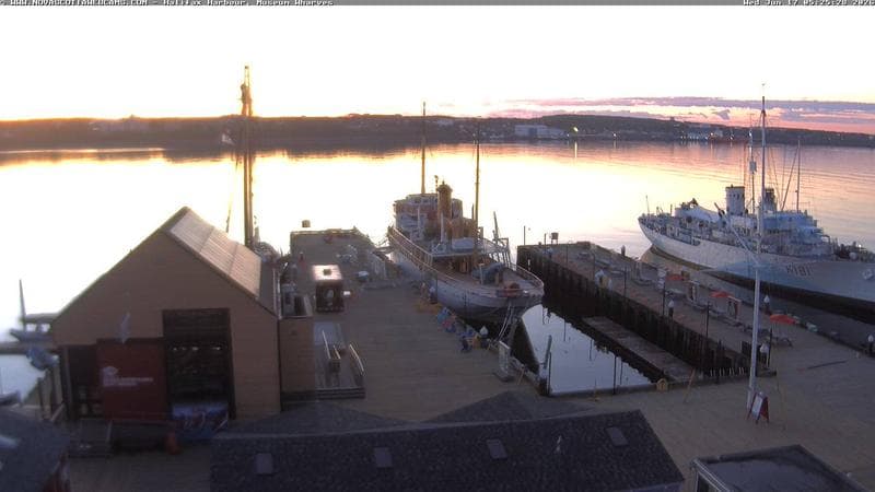 Museum Wharves