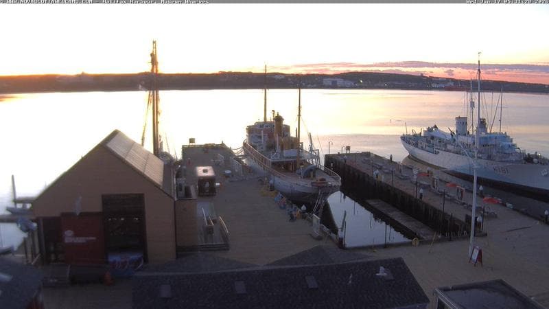 Museum Wharves