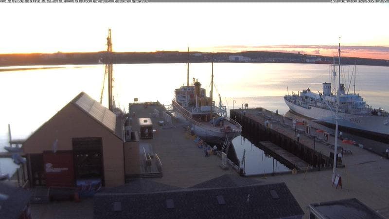 Museum Wharves