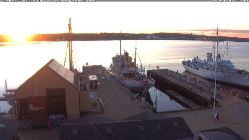 Museum Wharves