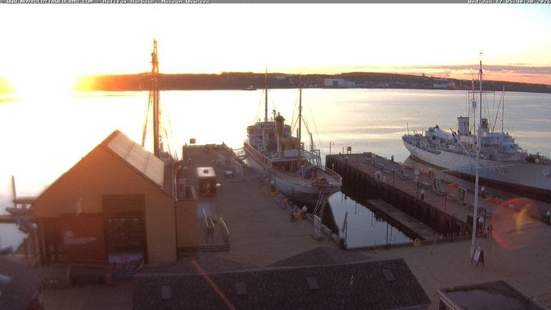 Museum Wharves