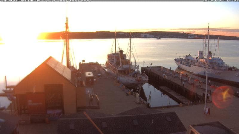 Museum Wharves