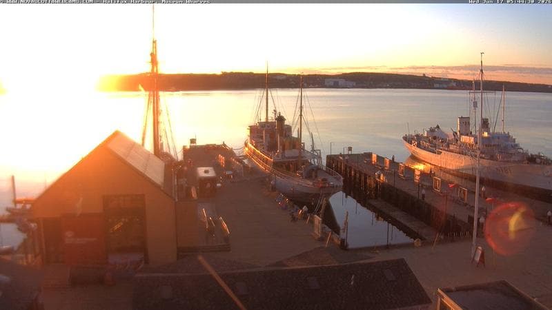Museum Wharves