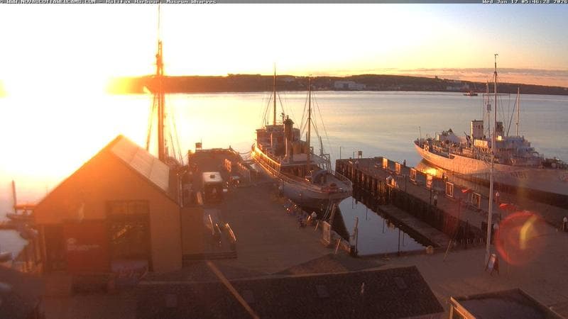 Museum Wharves