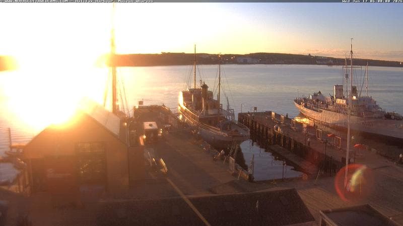 Museum Wharves