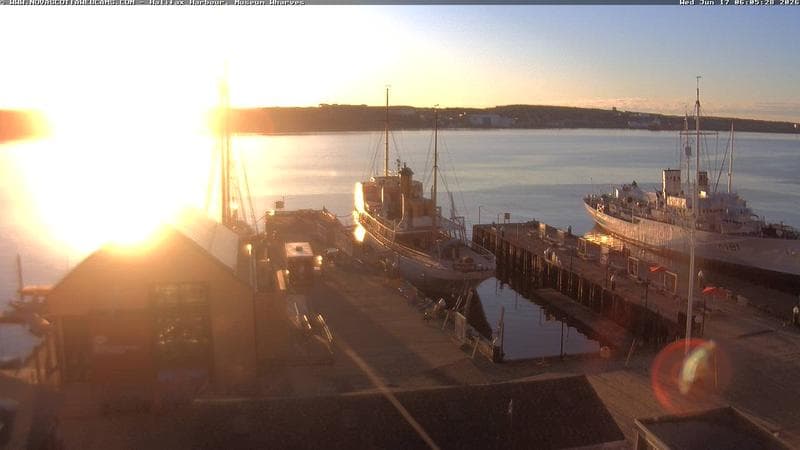 Museum Wharves