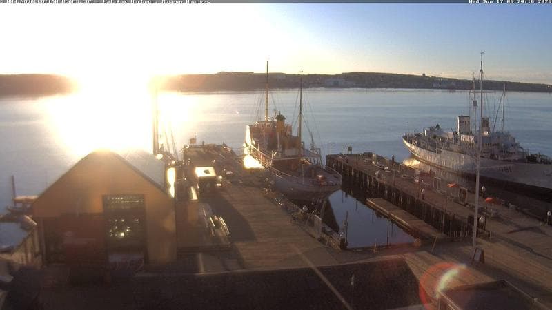 Museum Wharves