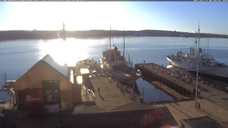 Museum Wharves