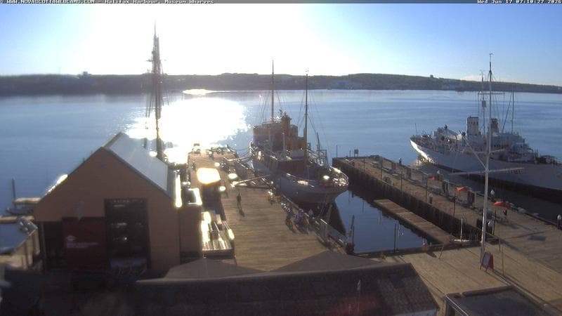 Museum Wharves