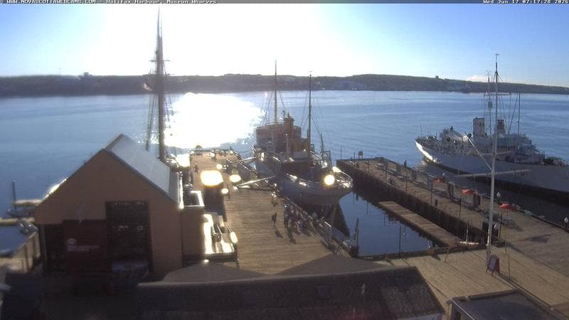 Museum Wharves