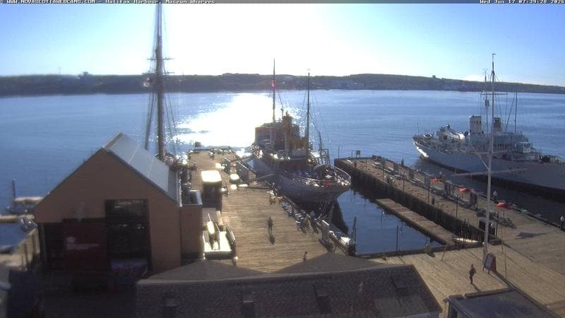 Museum Wharves