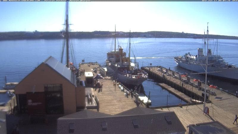 Museum Wharves