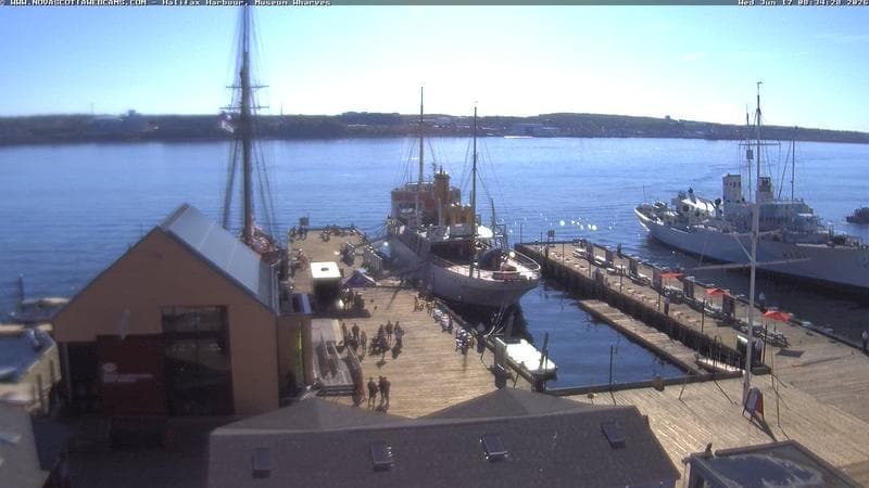 Museum Wharves
