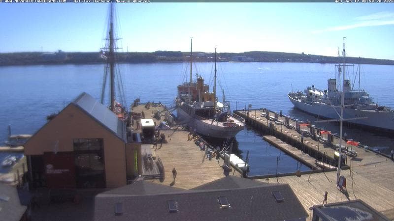 Museum Wharves