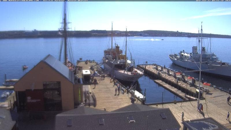 Museum Wharves