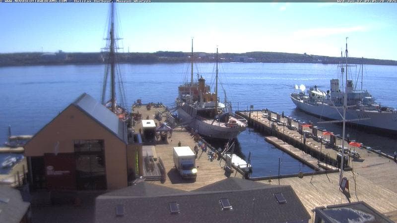 Museum Wharves