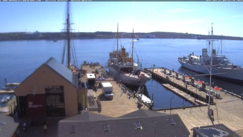 Museum Wharves