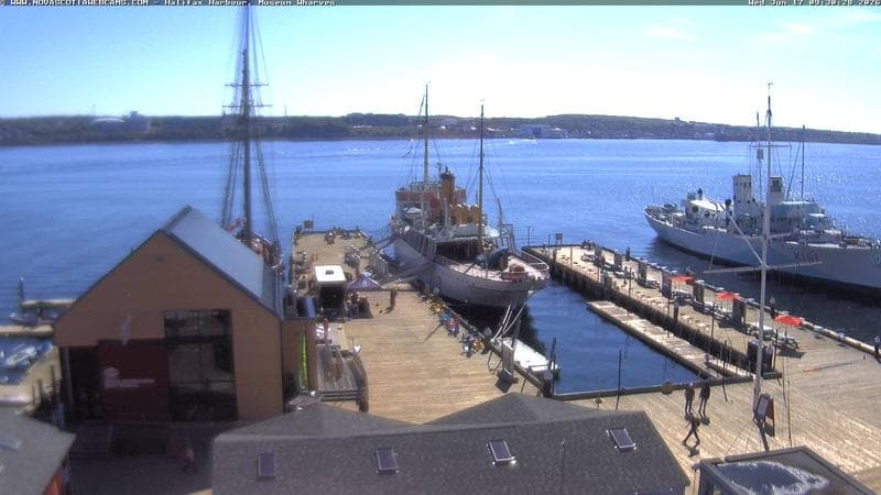 Museum Wharves