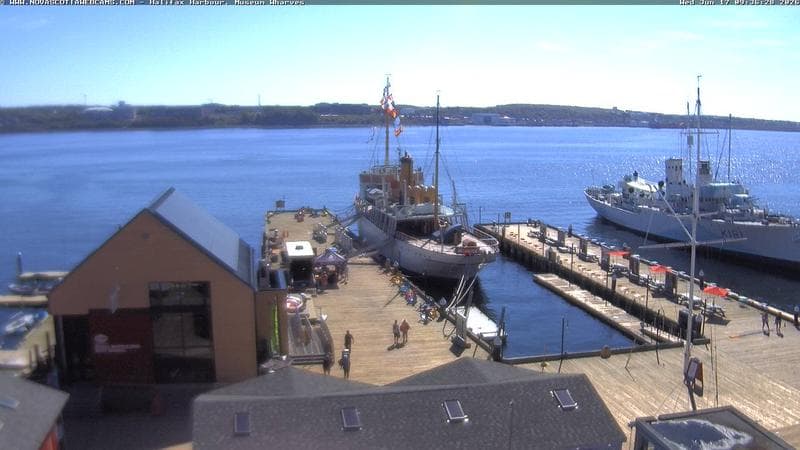 Museum Wharves