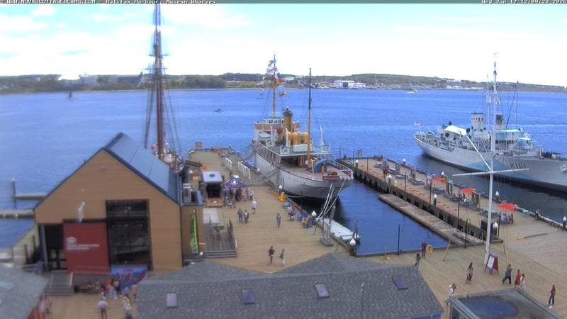 Museum Wharves