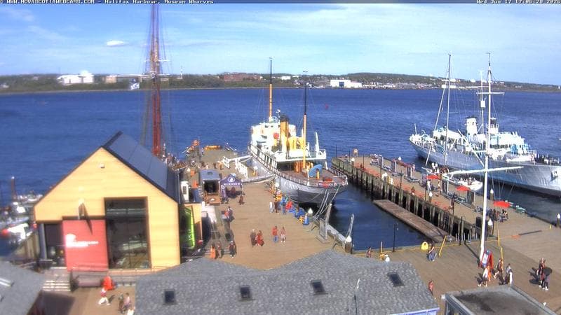 Museum Wharves