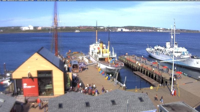 Museum Wharves