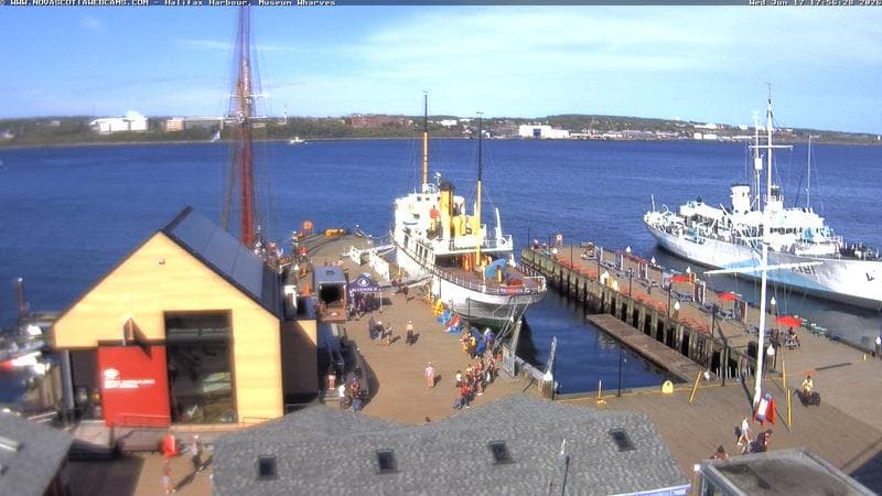 Museum Wharves