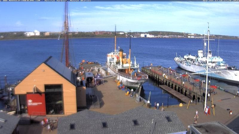 Museum Wharves