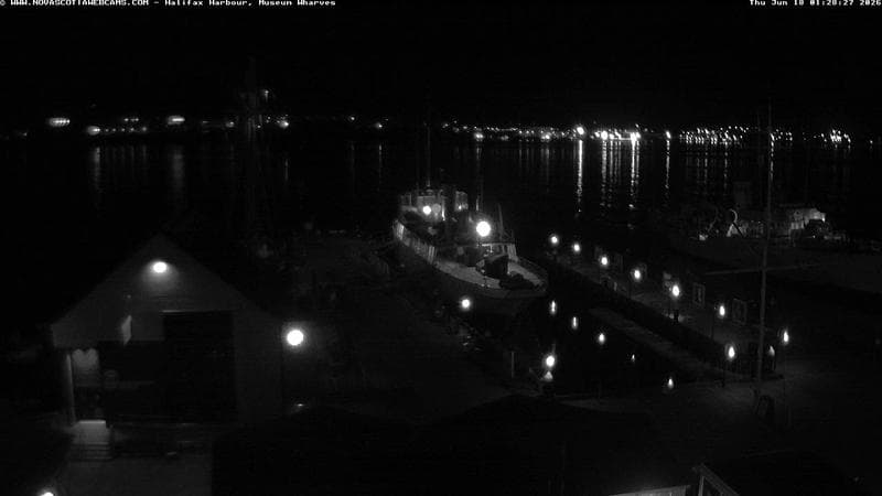 Museum Wharves