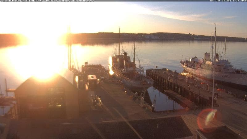 Museum Wharves