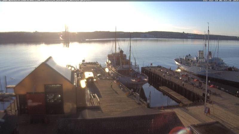 Museum Wharves