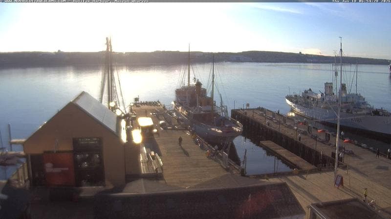 Museum Wharves