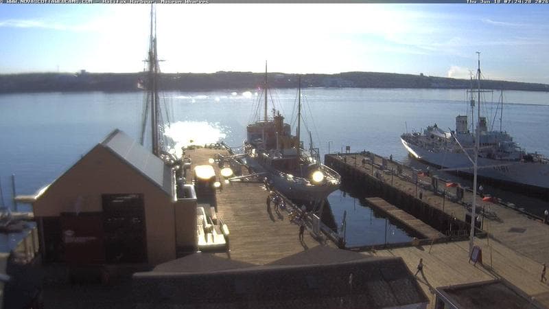 Museum Wharves