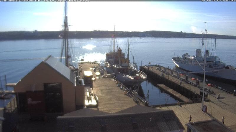 Museum Wharves